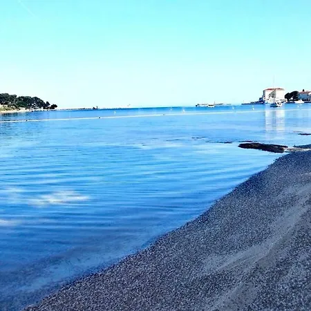 Center Premium Apartment *