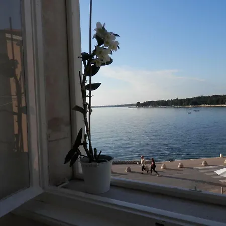 Center Premium Apartment