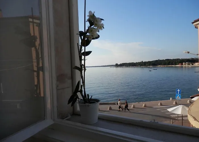 Center Premium Apartment